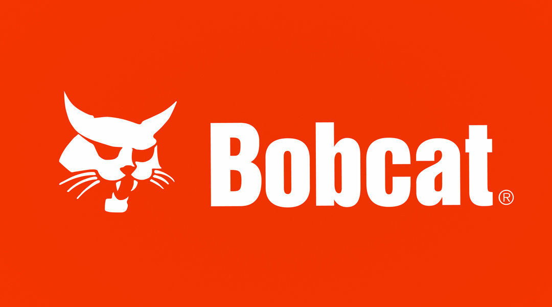 Bobcat